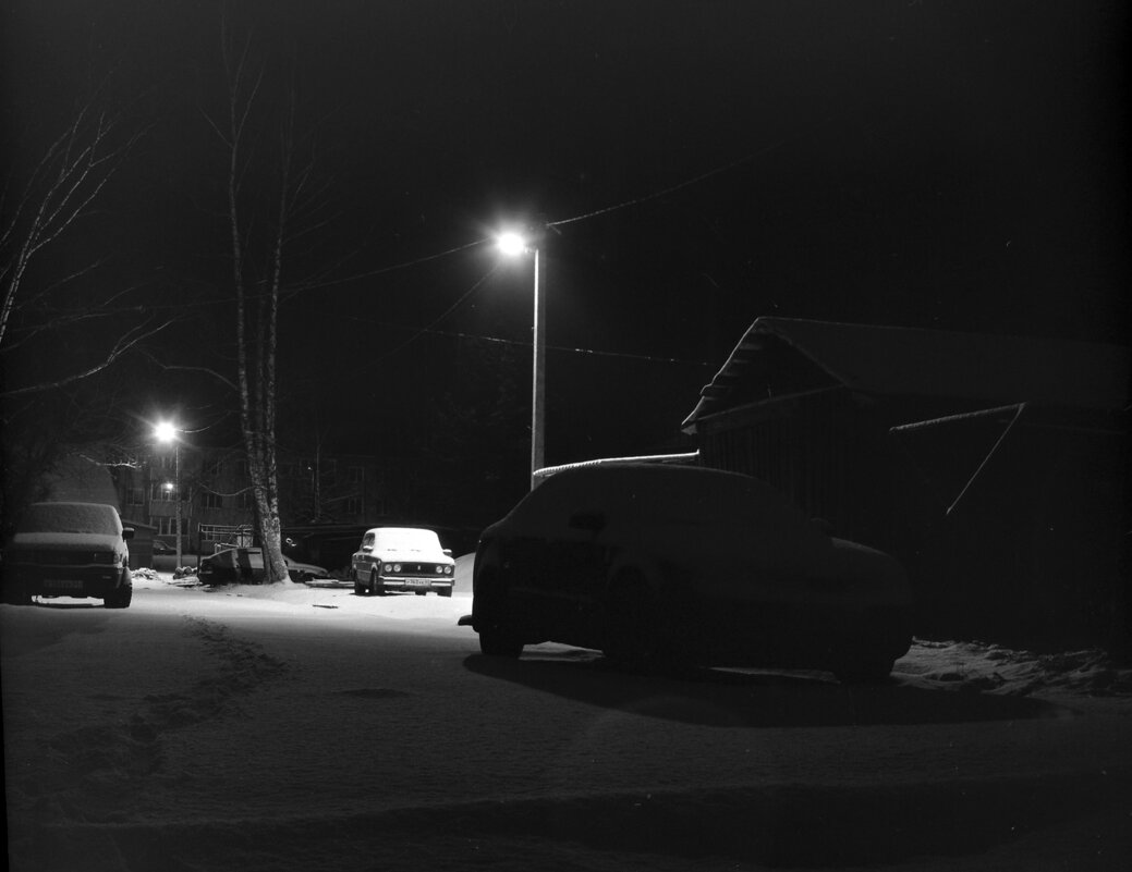 Декабрьское утро, 2025 г. - Олег Зоркий