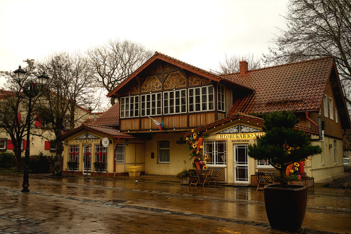 Кафешки Курортного проспекта - Лилия .