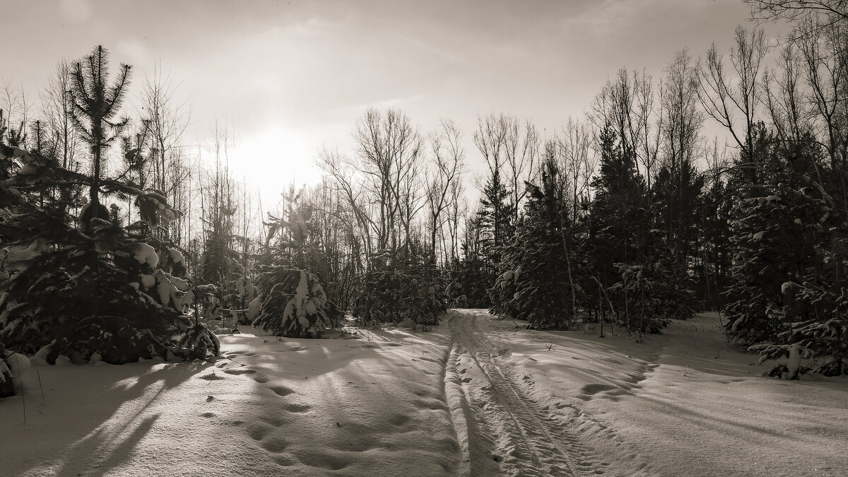 Черно-белая сказка - Вадим Басов