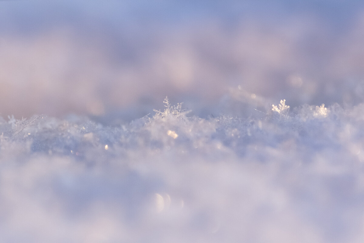 Снежинка - Алексей Булак