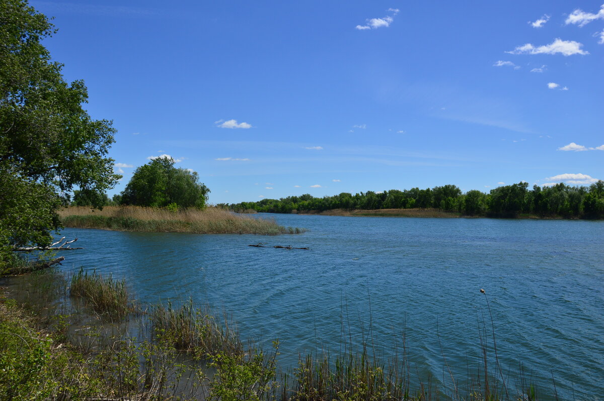 У реки. - Виктор 