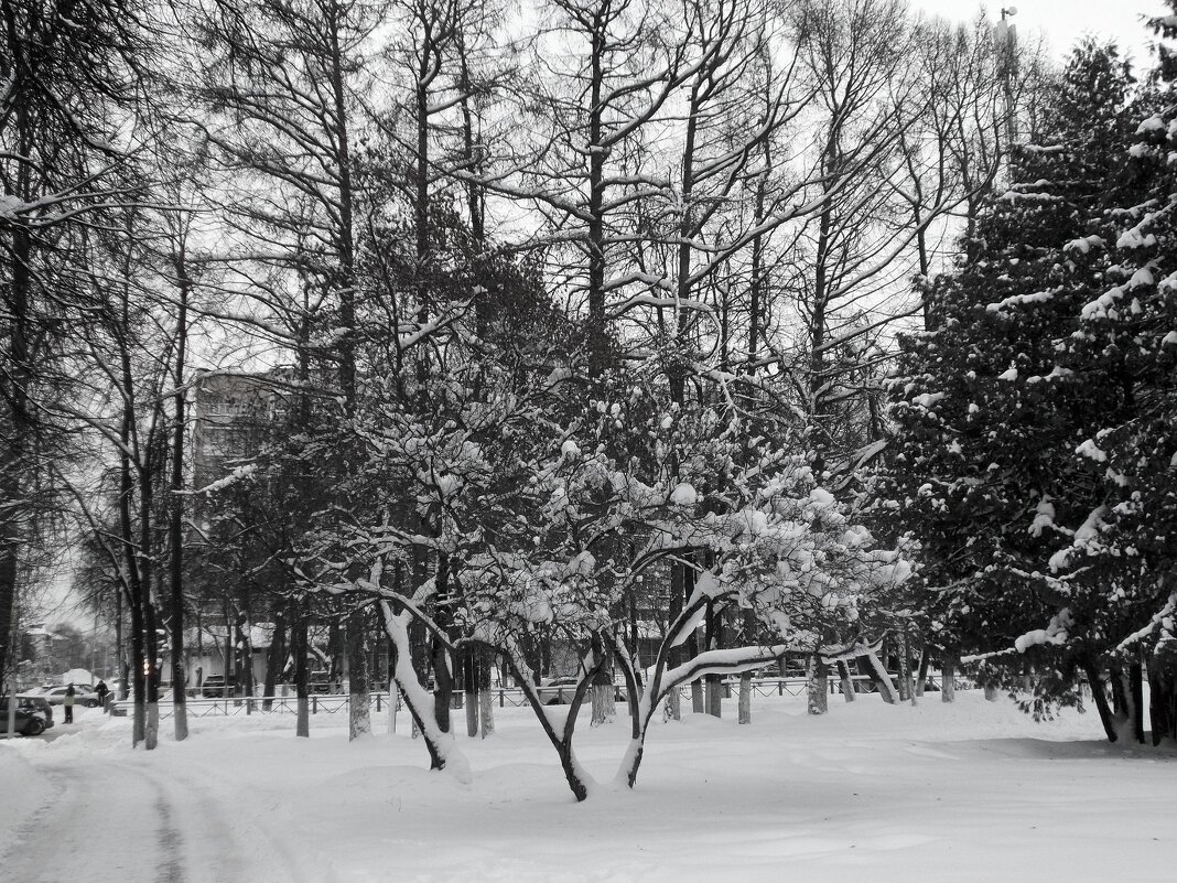 Зимний макияж городских улиц - Alisia La DEMA
