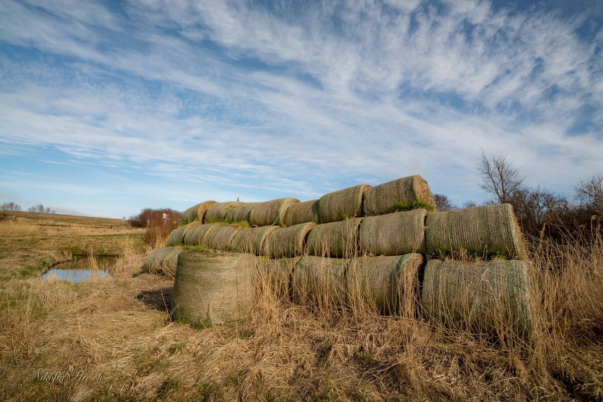 Старая солома... - Николай Гирш Старая солома... - Николай Гирш