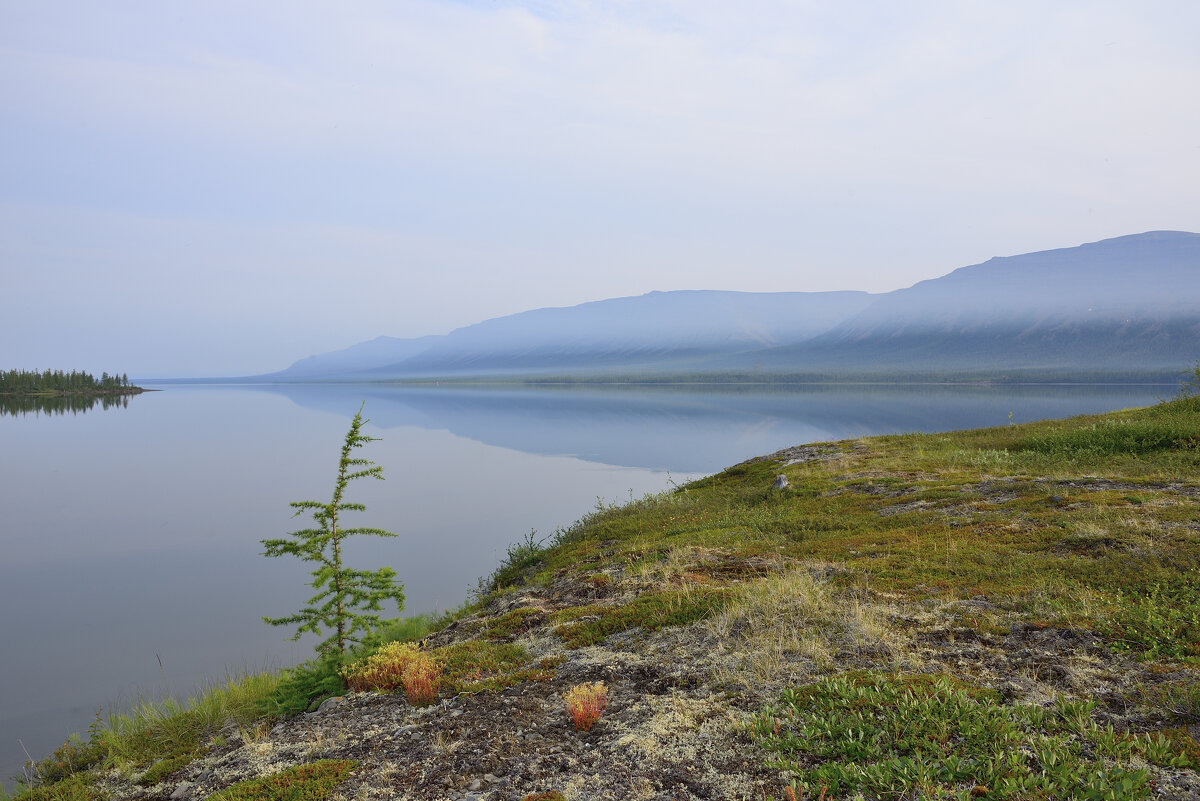** - Александр Хаецкий