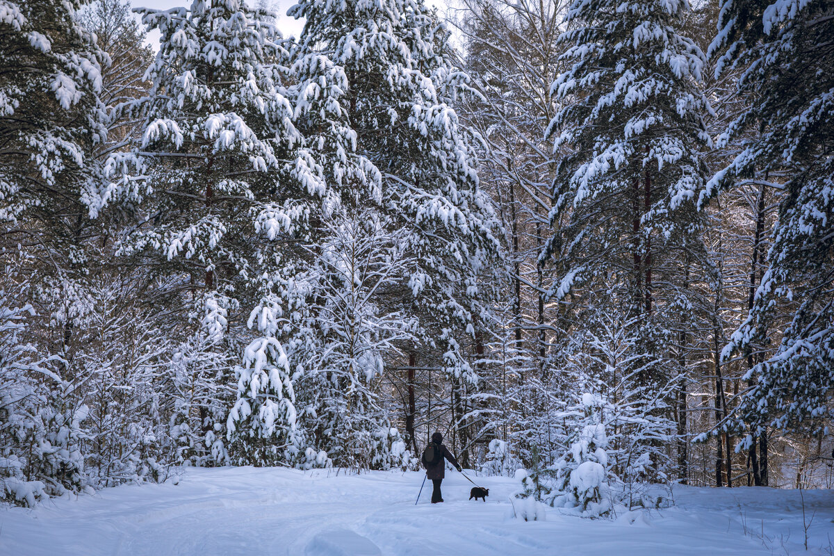 Зимние прогулки - Вячеслав Владимирович