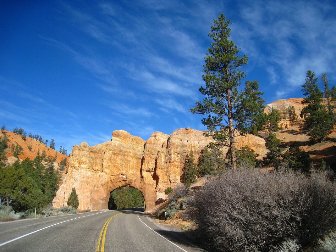 В американском штате Юта. - unix (Илья Утропов)