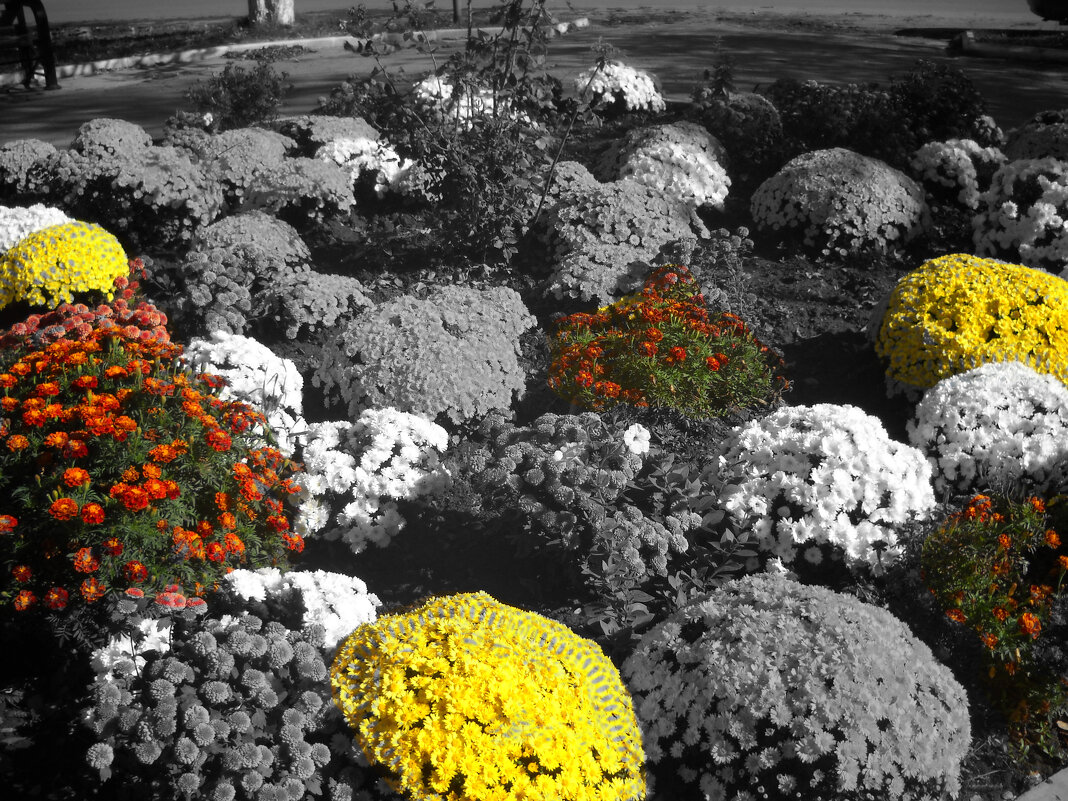 Клумба - Victoria 