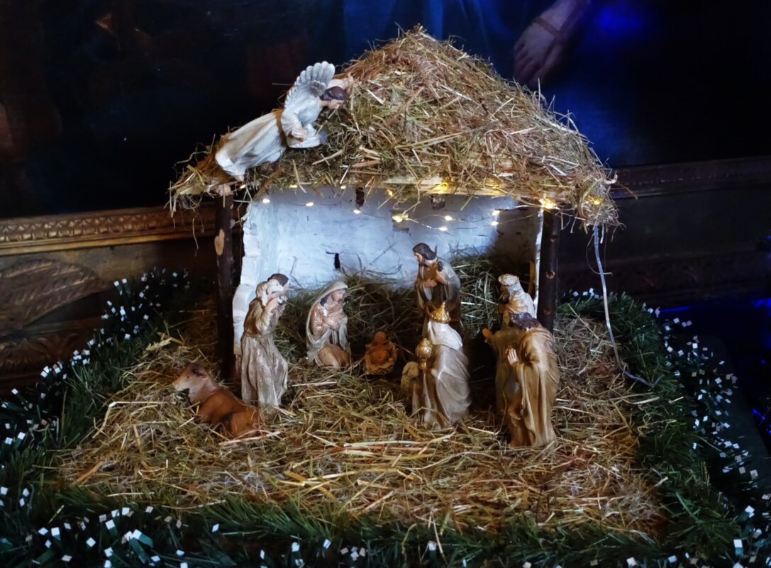 Рождественский вертеп - Aida10 