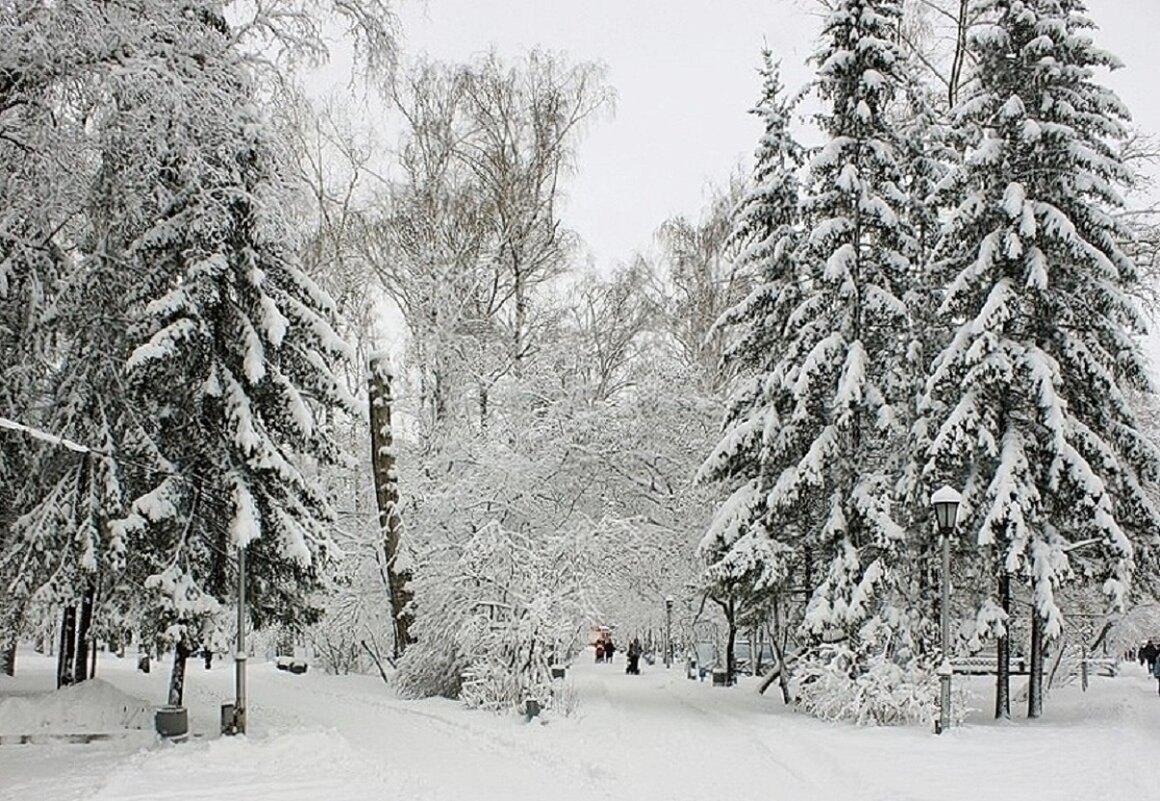 В Центральном парке - Галина Нестратова