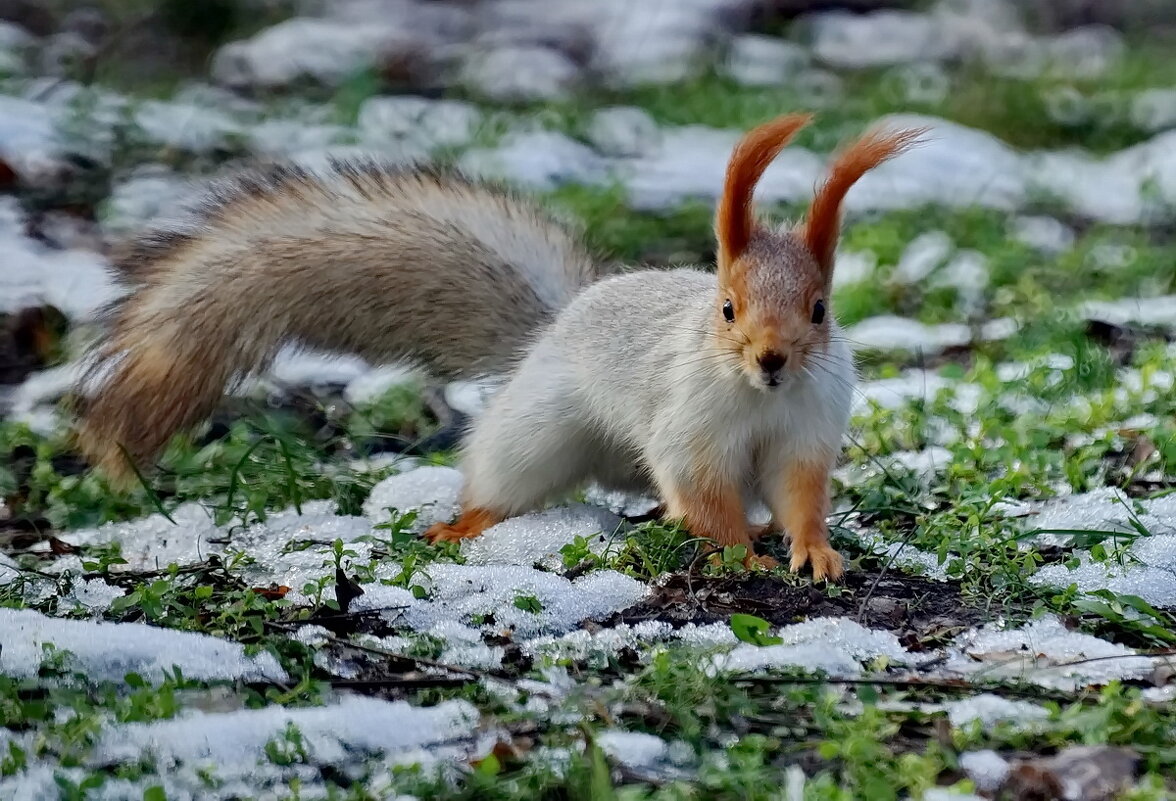 Трудные времена... - Николай Саржанов