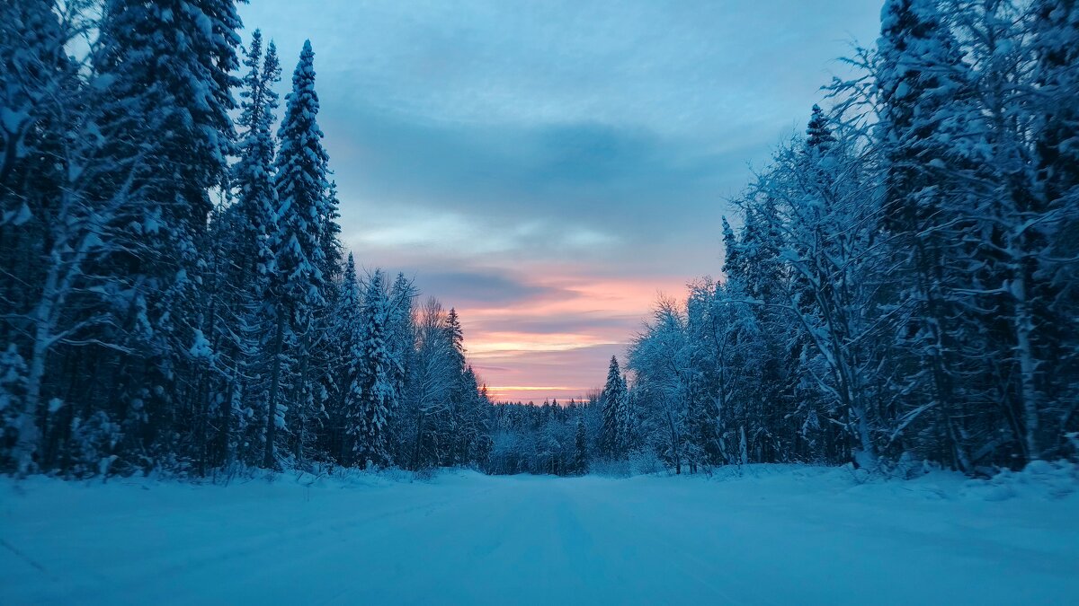 Зимняя дорога - Александр Гладких Зимняя дорога - Александр Гладких