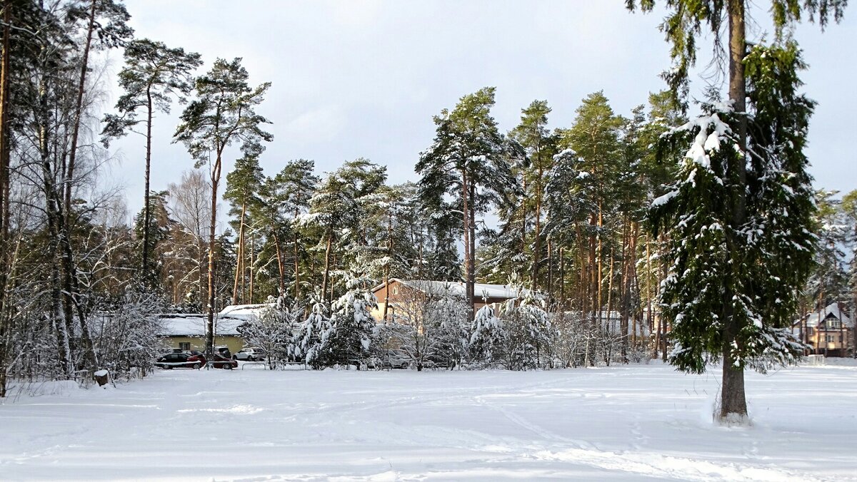 Про смоленскую зиму. - Милешкин Владимир Алексеевич 