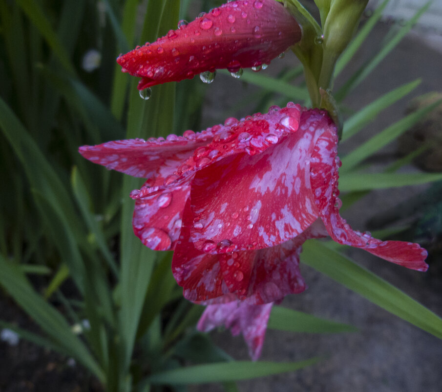 ** - Валентин Семчишин
