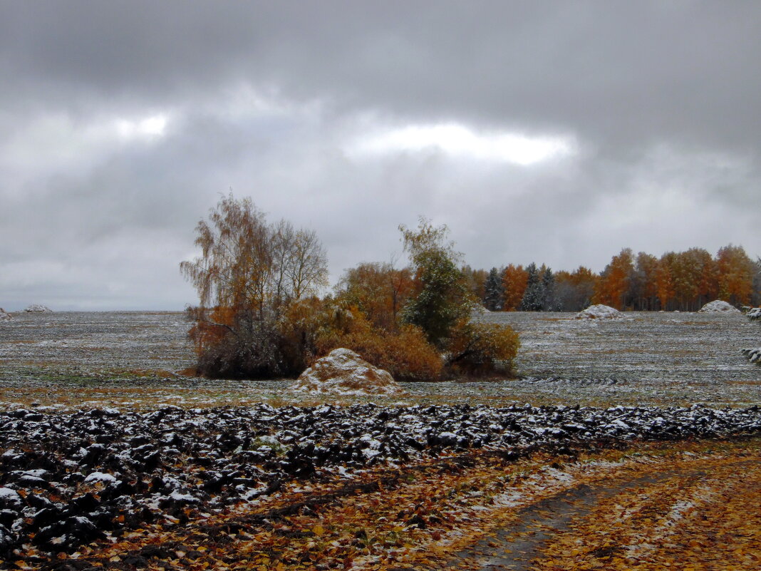 Первый снег. - nadyasilyuk Вознюк