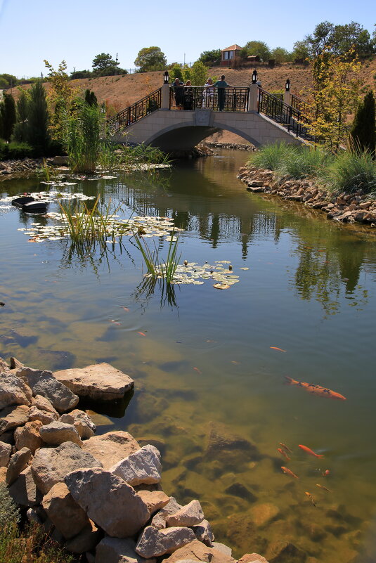 Мостик и рыбки - Леонид 