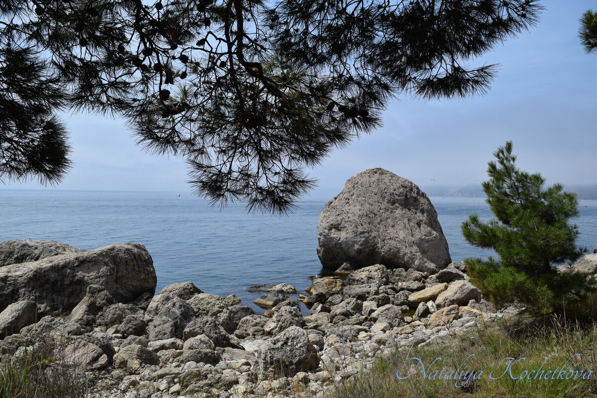 Природа Крыма - Amazing Cosmea