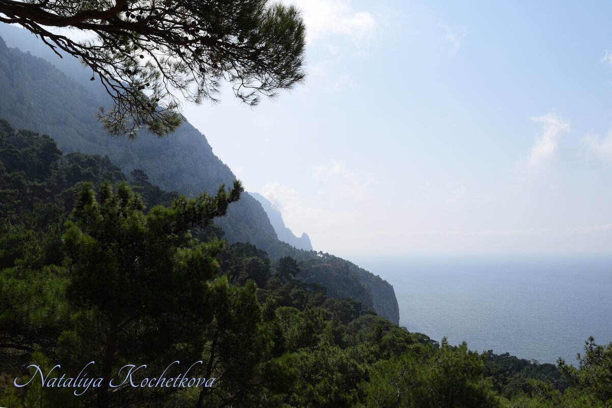 Природа Крыма - Amazing Cosmea