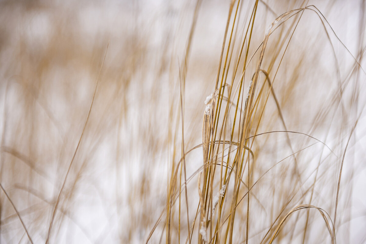 Желтое на белом - Владимир 