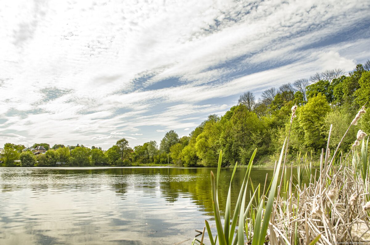 Природа - Дмитрий Кутепов