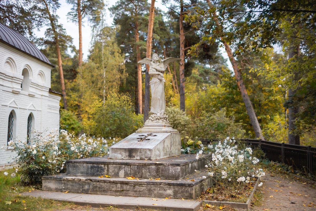 Татьяне Юсуповой...  Усадьба Архангельское - Олег Дорошенко