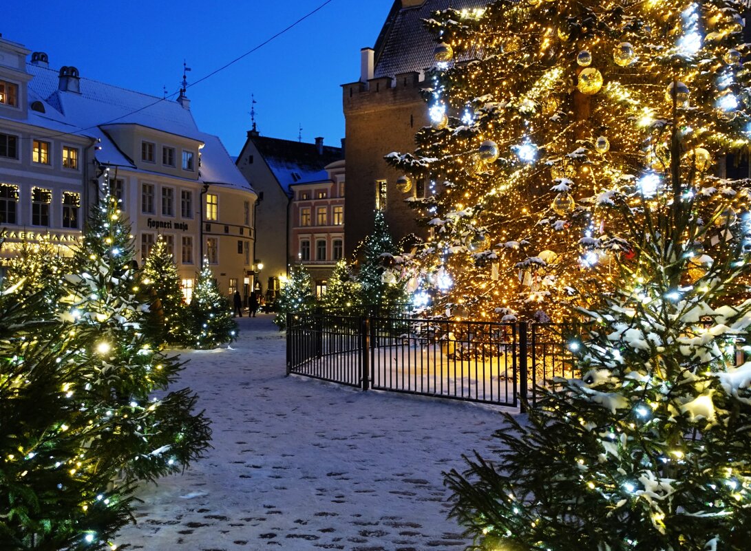 Накануне Рождества - Aida10 Накануне Рождества - Aida10