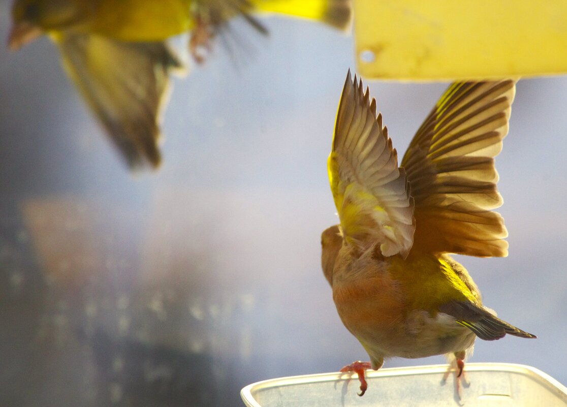 И её нрав !.. - Юрий Куликов