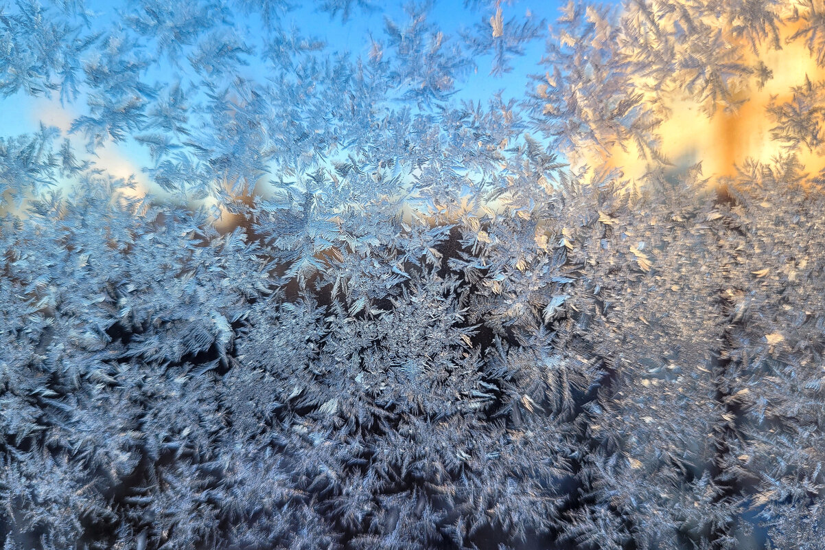 Снова надвигаются морозы - Татьяна Машошина