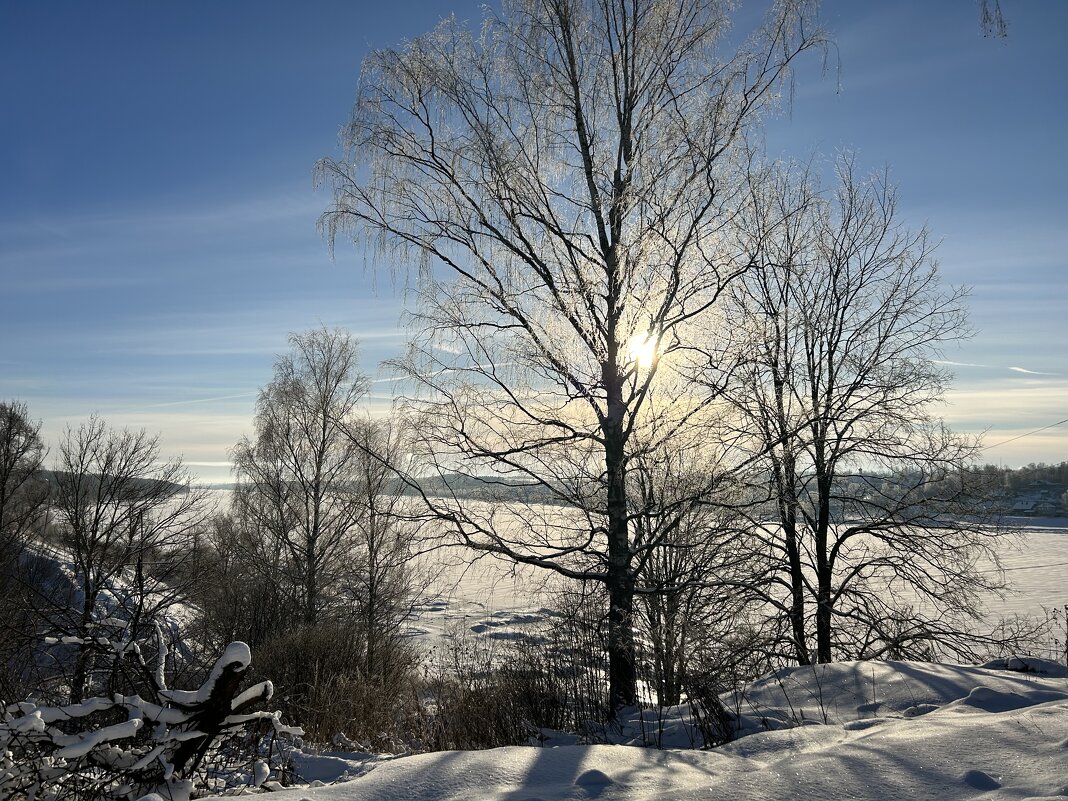 Тутаев - Светлана Ященко