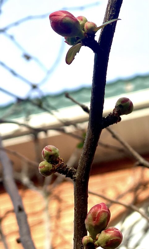 Природа. Горячий ключ. +12* - Alexey YakovLev