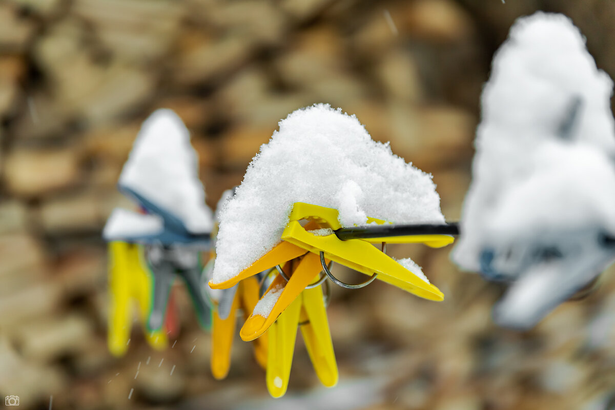 Из жизни прищепок - Александр 