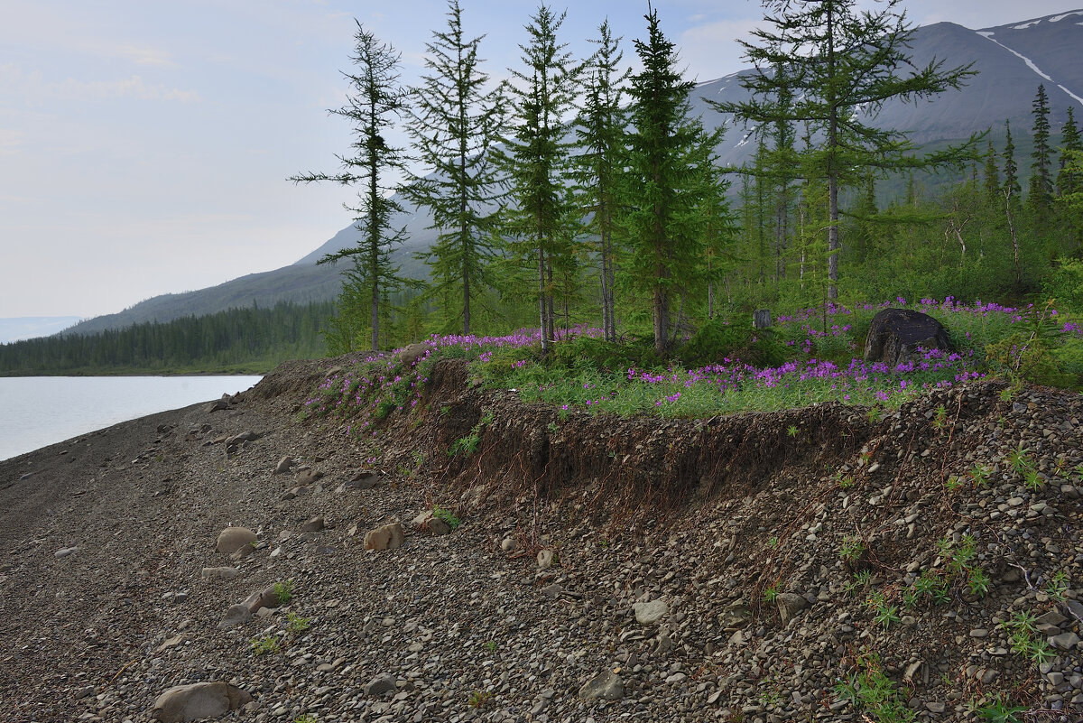 ** - Александр Хаецкий ** - Александр Хаецкий