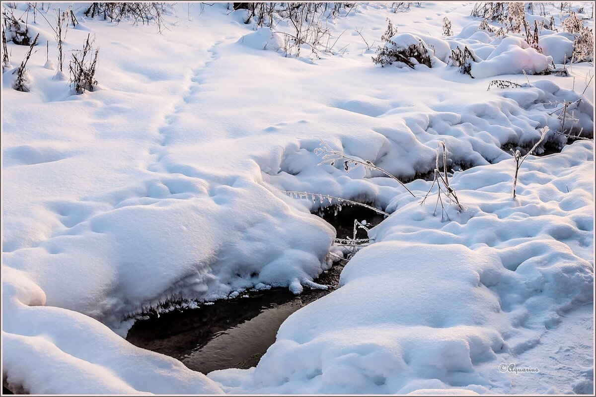Родник - Aquarius - Сергей