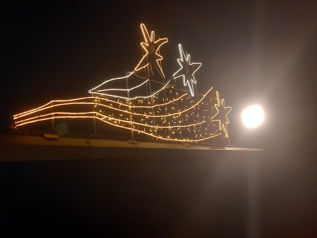 Новогоднее украшение - Сапсан 