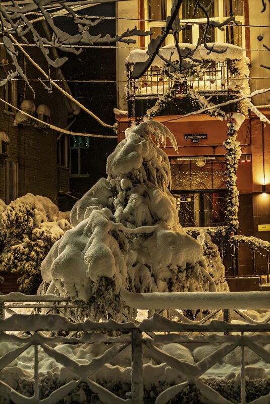 В Новогоднюю ночь - Игорь Сикорский