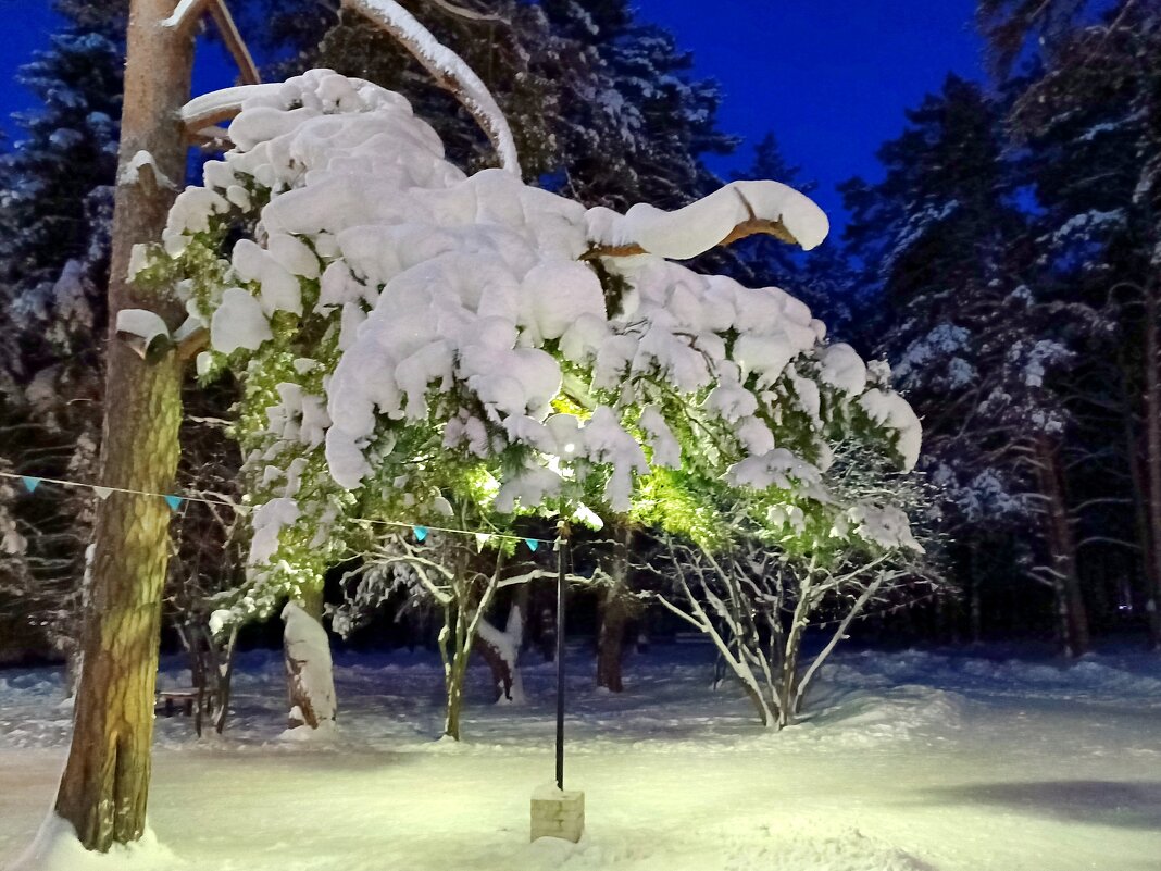 Вечерние зарисовки - Любовь Сахарова