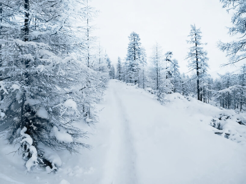 /// - Константин Есипов