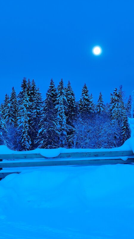 Зимнее утро - Александр Гладких