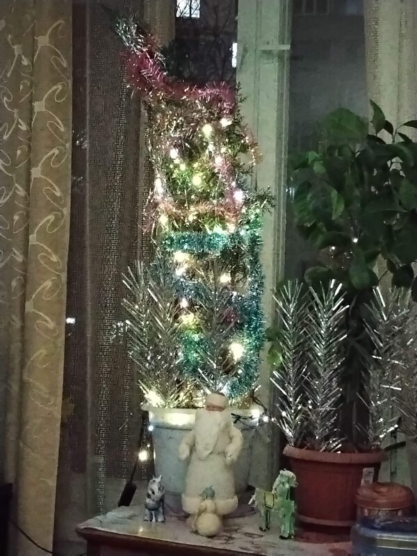 Это наша ёлка - Дмитрий Никитин