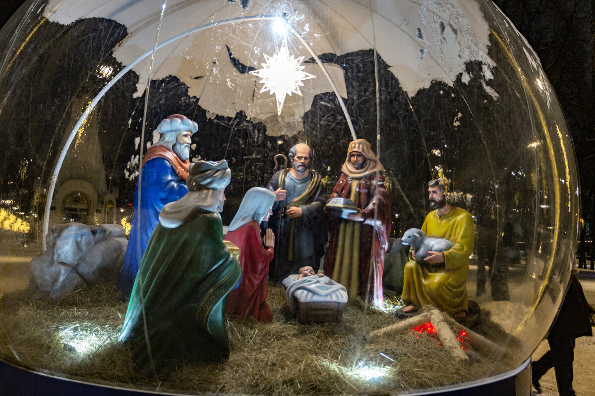 Инсталяция - Александр Силинский Инсталяция - Александр Силинский