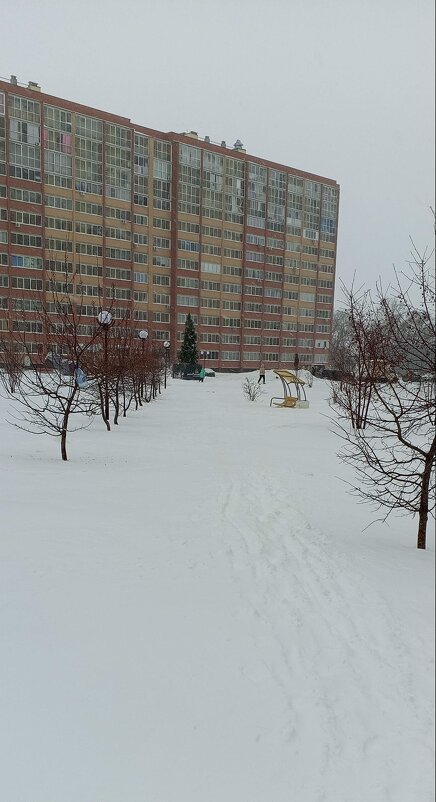 Аллея и Ёлка на районе - Андрей Макурин