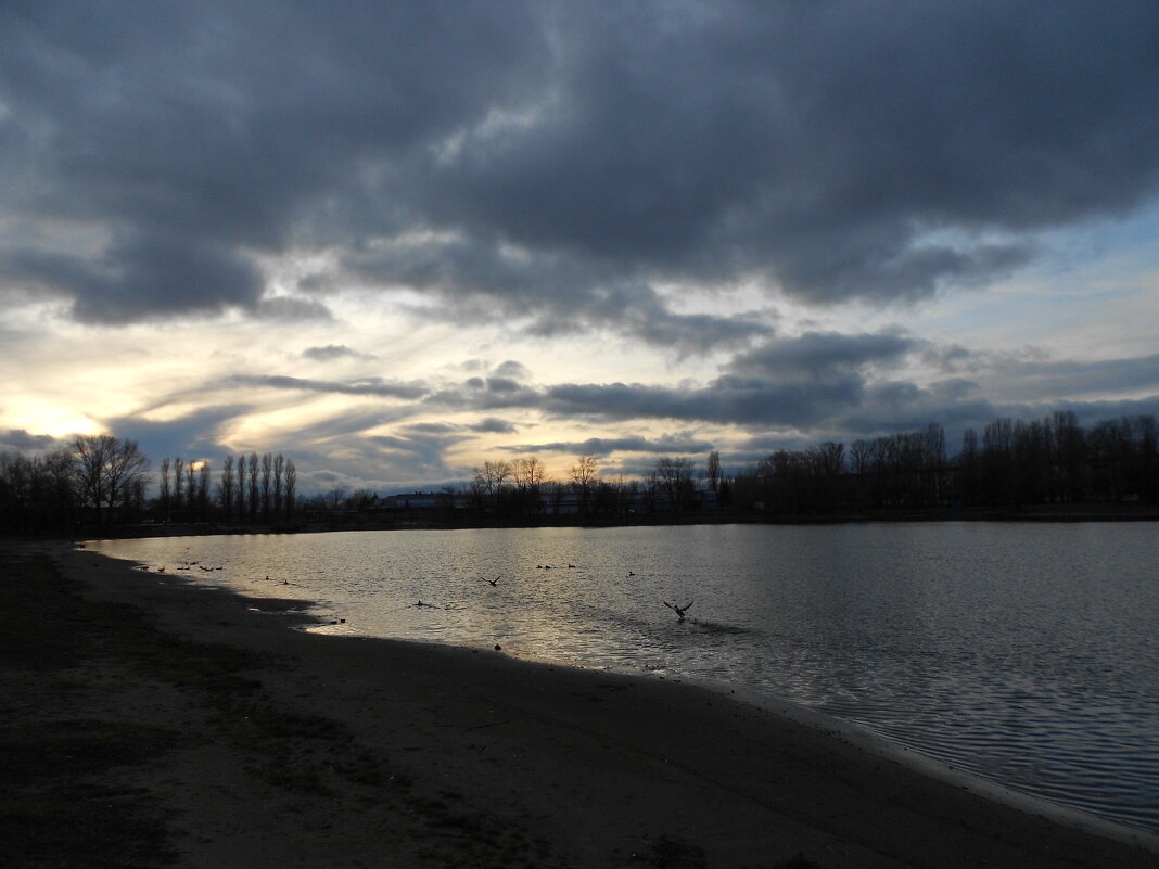 ноябрьский вечер на пляже - Елена Шаламова ноябрьский вечер на пляже - Елена Шаламова