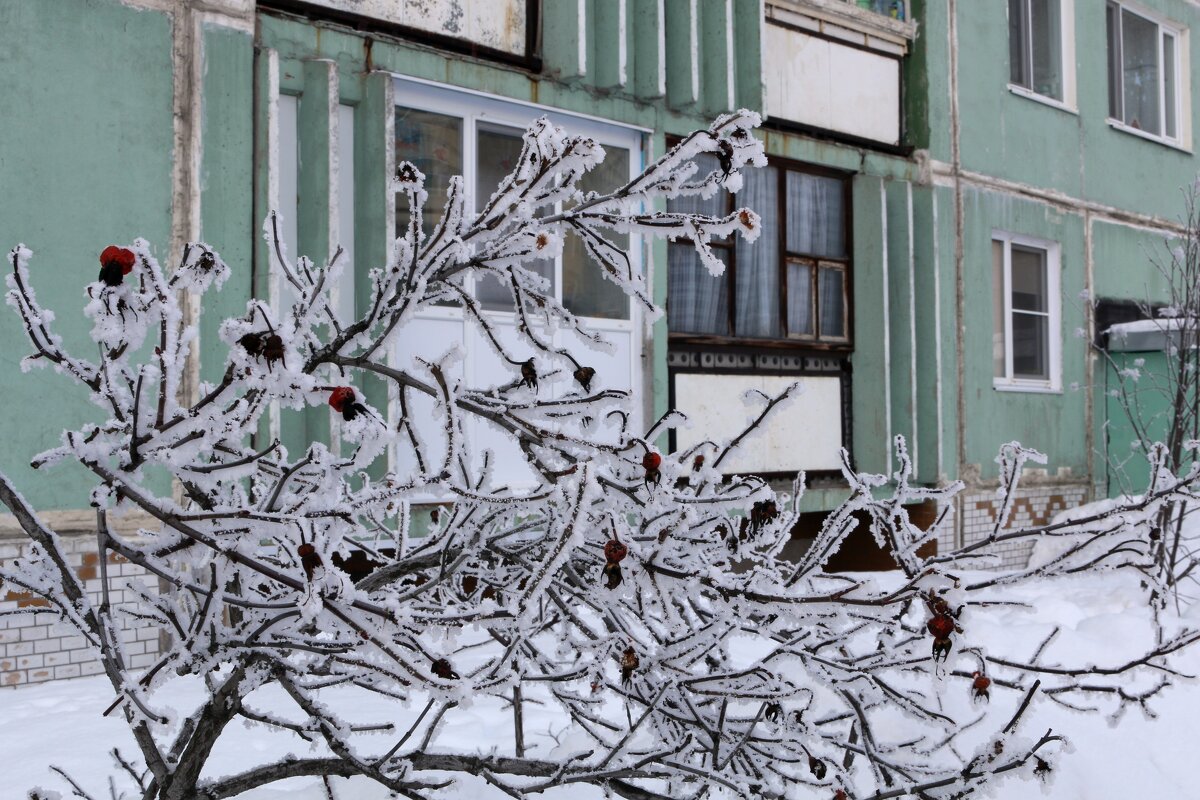 В зимнем городе - Ольга 