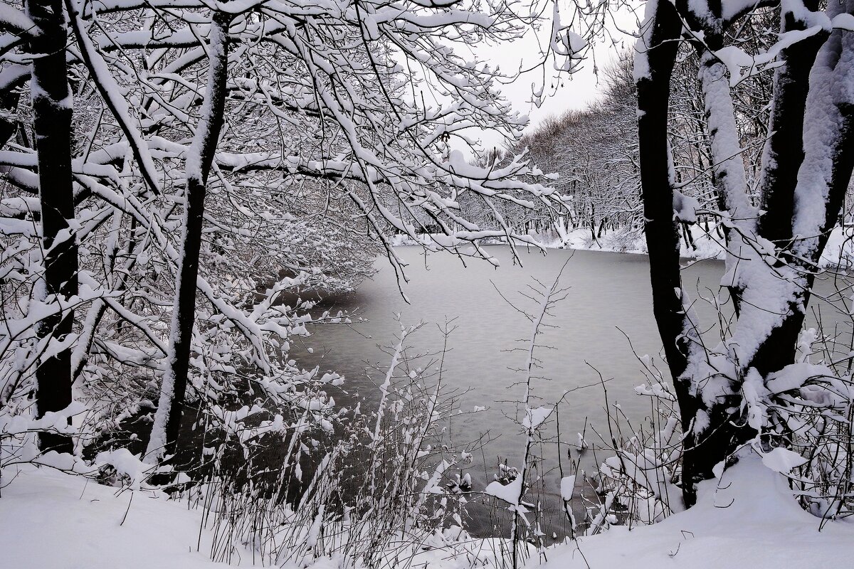 Декабрь Парк Южный, Калининград - Рита Симонова