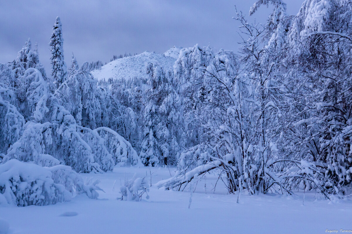 Голубой хребет - Евгений Тарасов Голубой хребет - Евгений Тарасов