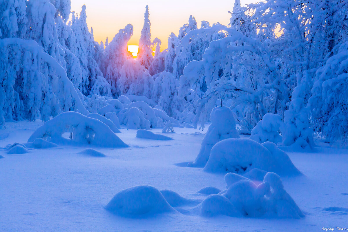 Утро хребта сукА - Евгений Тарасов 