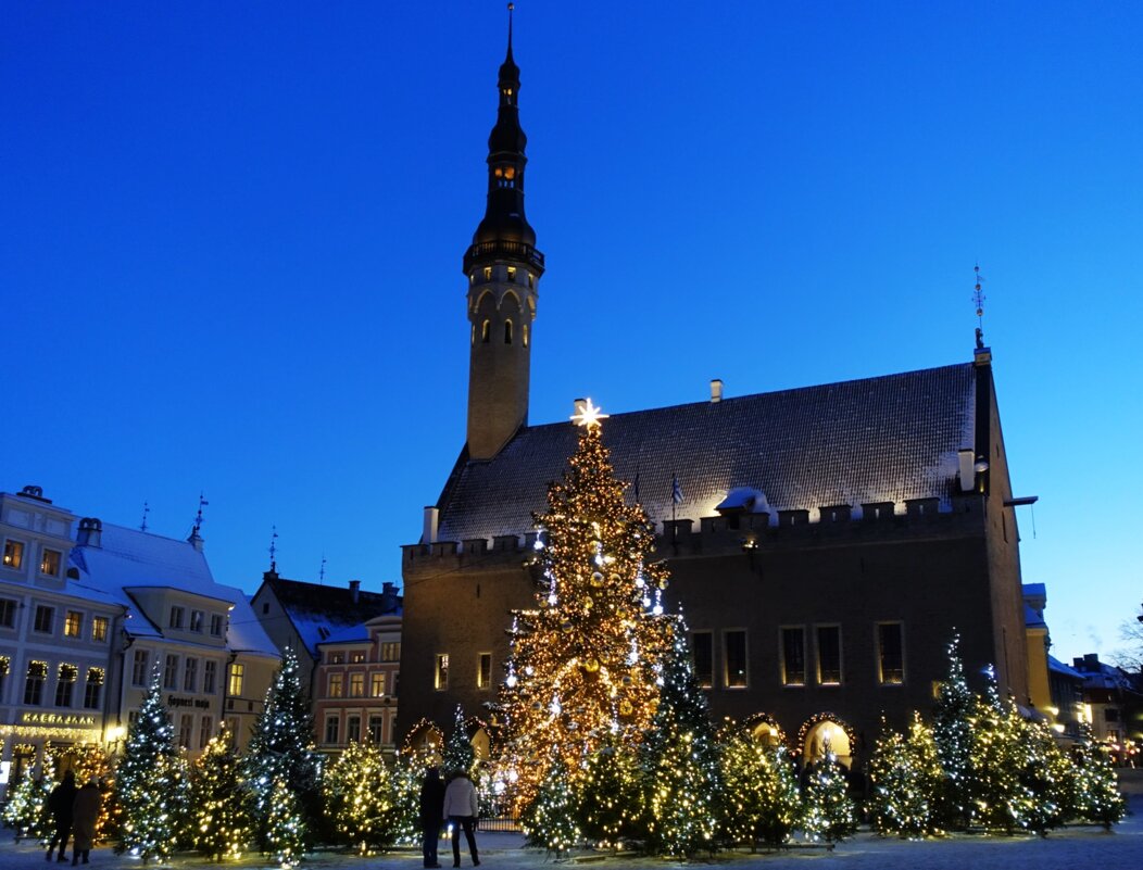 Рождественский Таллин - Aida10 