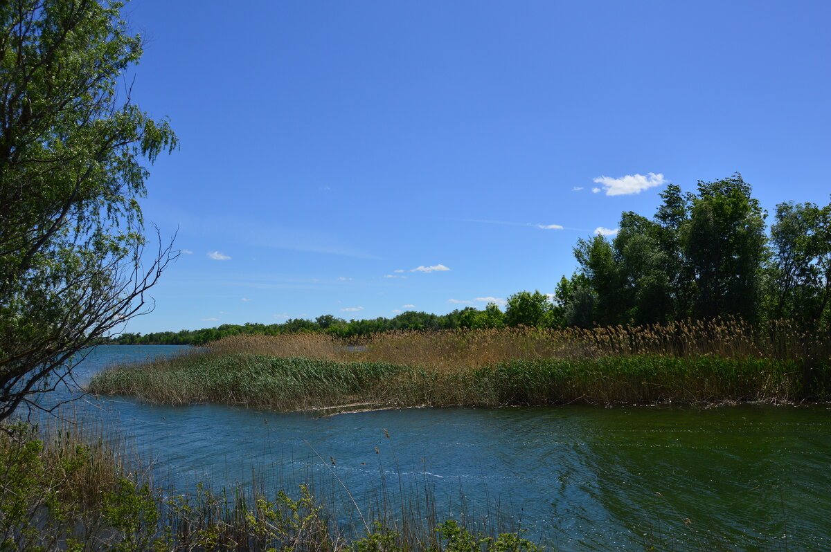 У реки. - Виктор 
