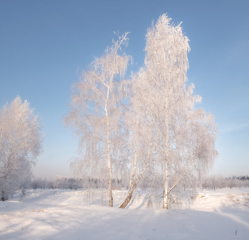 Нежная зима - Марина Фомина.