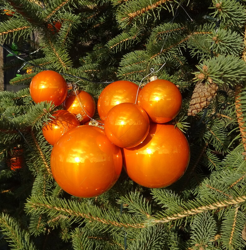 Праздничное - PRP 