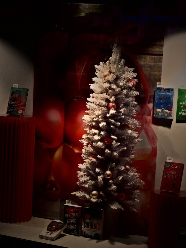 Рождество в Штутгарте - 26 - Алексей Кузнецов